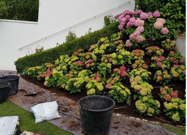 Gartenpflege