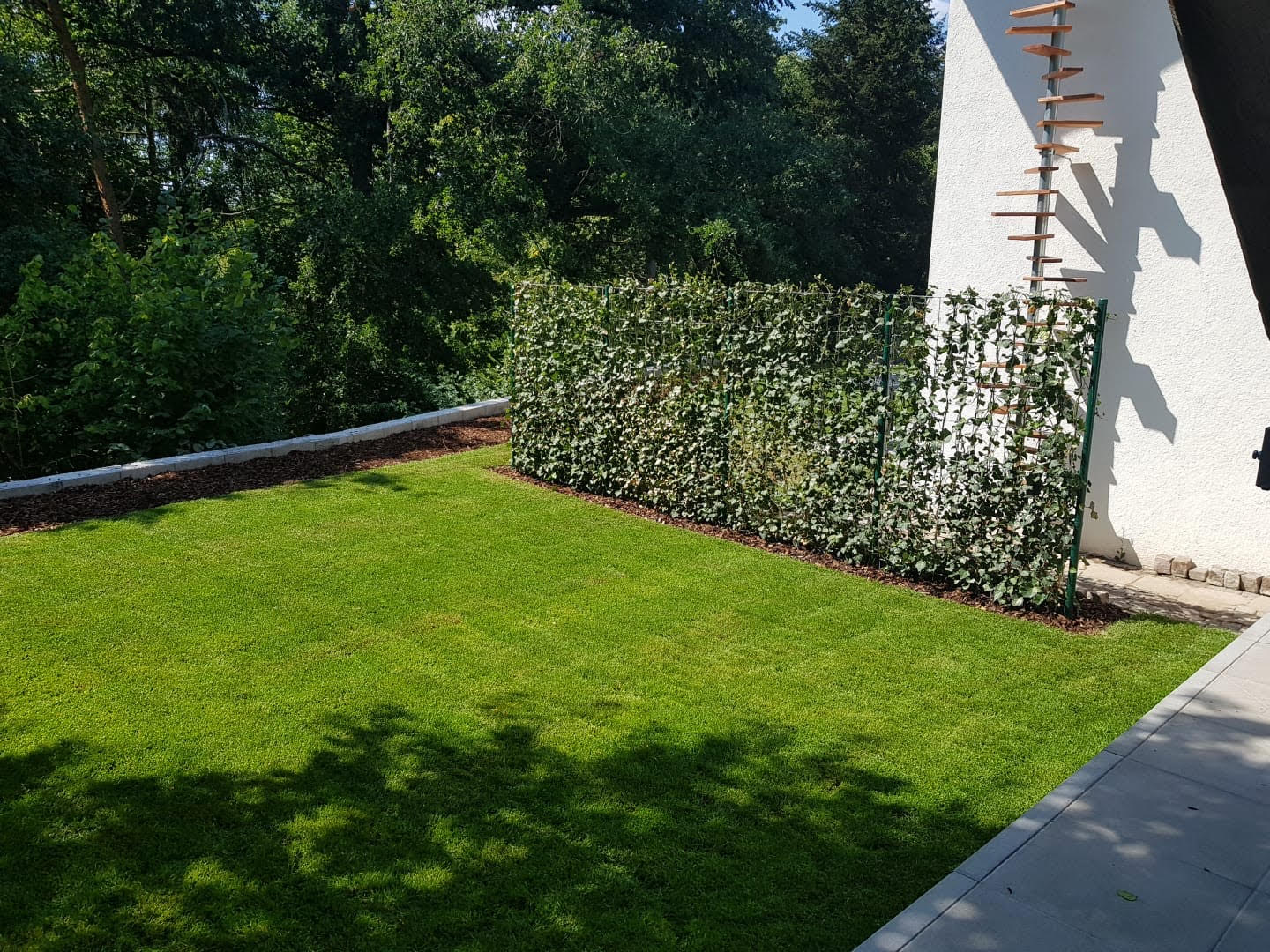 Projekt Bild 3